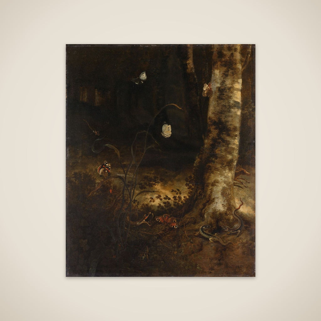 Forest Floor with a Snake, Lizards, Butterflies and other Insects unframed print