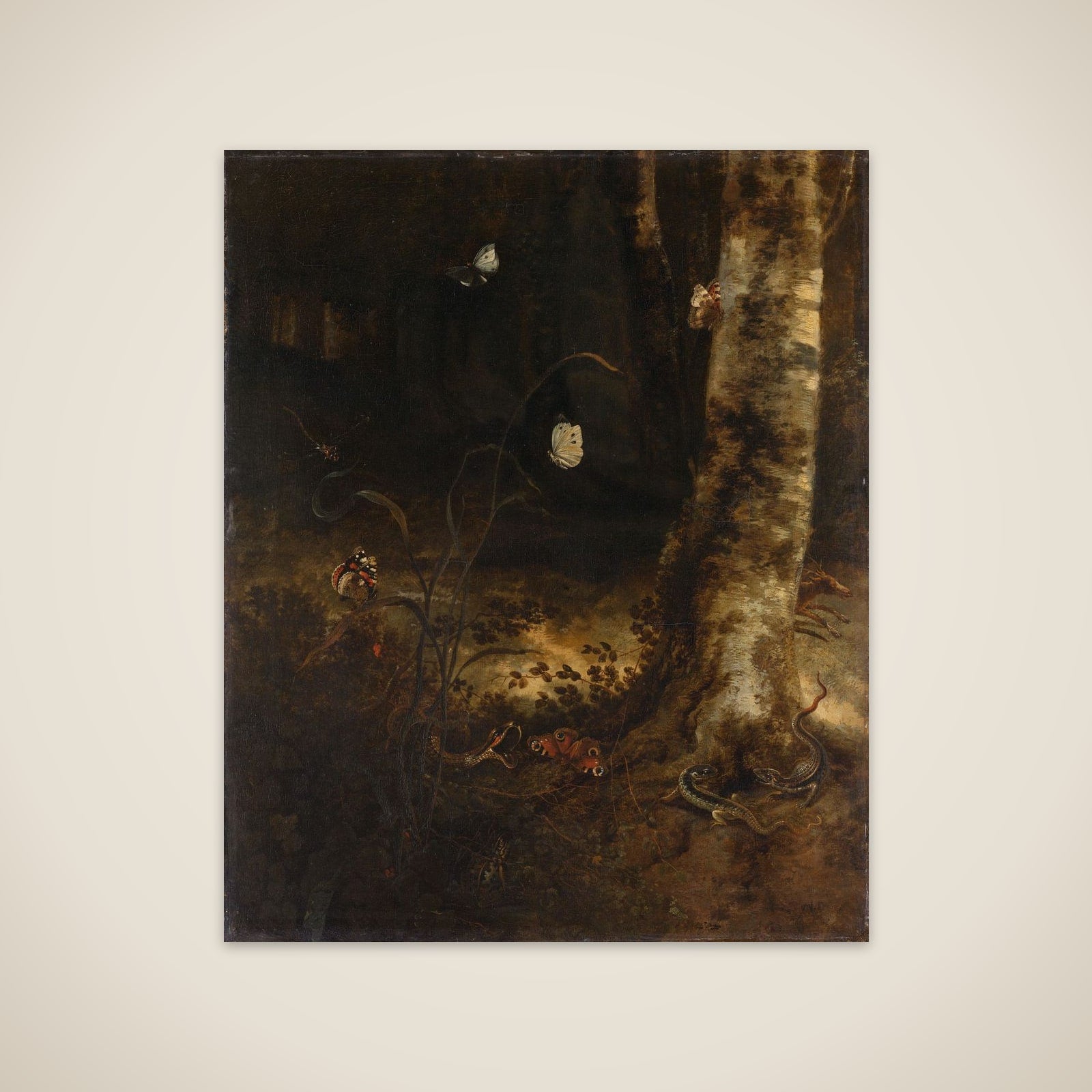 Forest Floor with a Snake, Lizards, Butterflies and other Insects unframed print