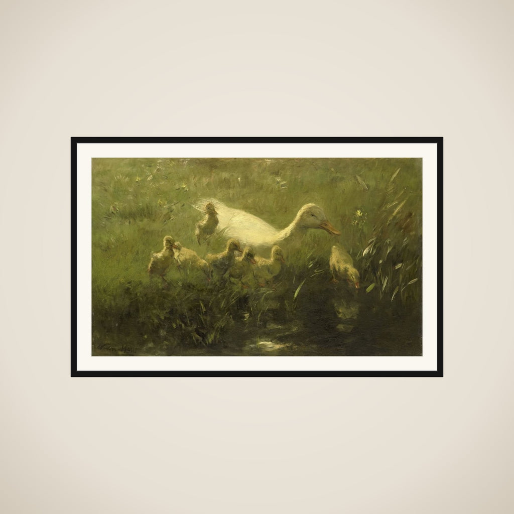 Witte eend met kiekens framed