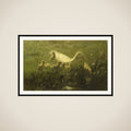 Witte eend met kiekens framed