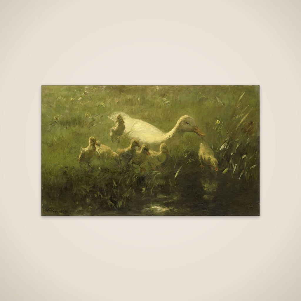 Witte eend met kiekens unframed print