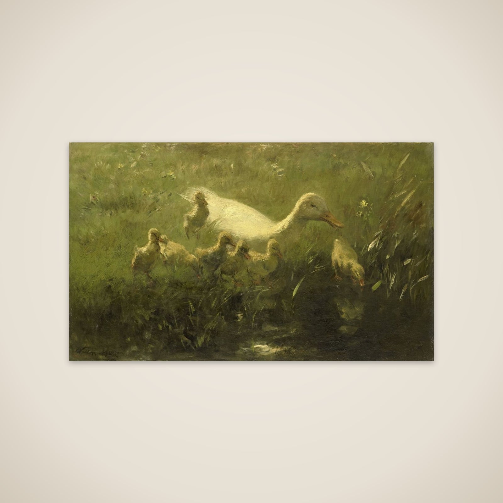 Witte eend met kiekens unframed print