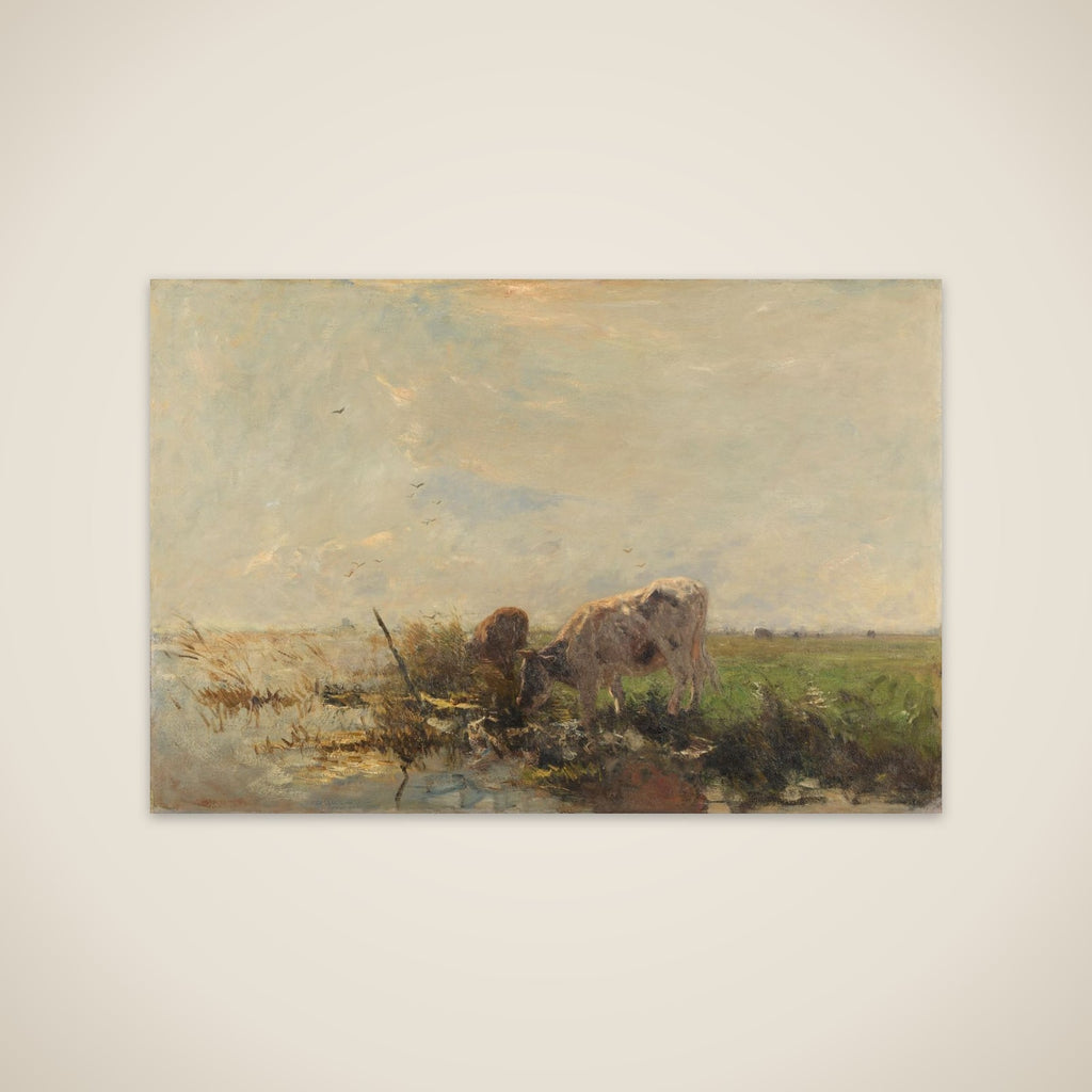 Koeien aan een plas unframed print