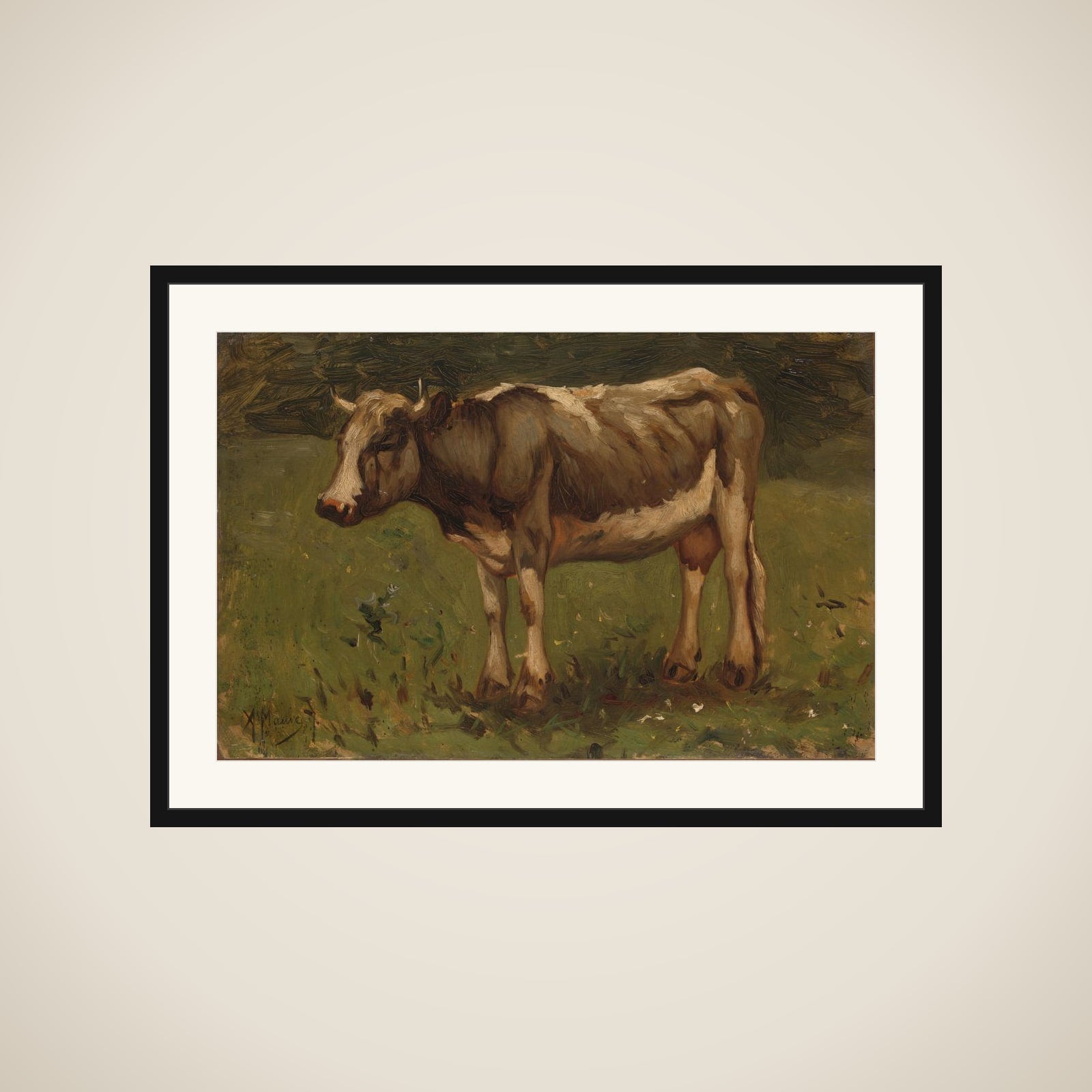Koe framed