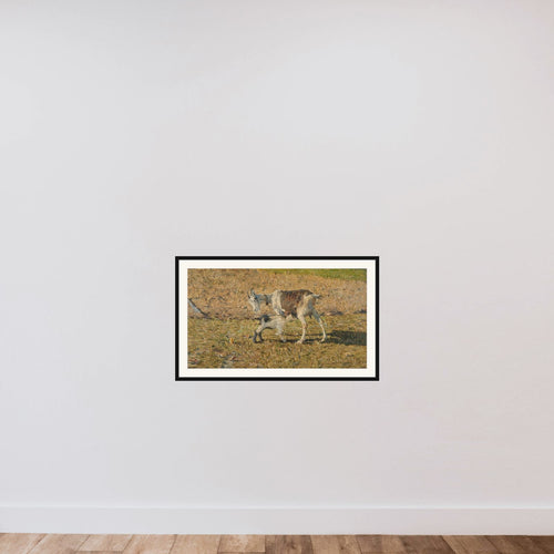 A Goat with her Kid framed — shown to scale