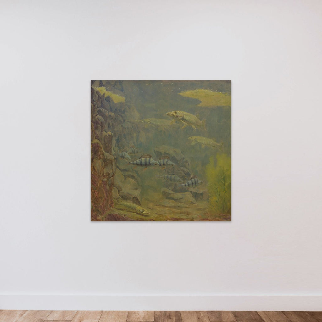 Pike and Perch in an Aquaruim unframed — shown to scale