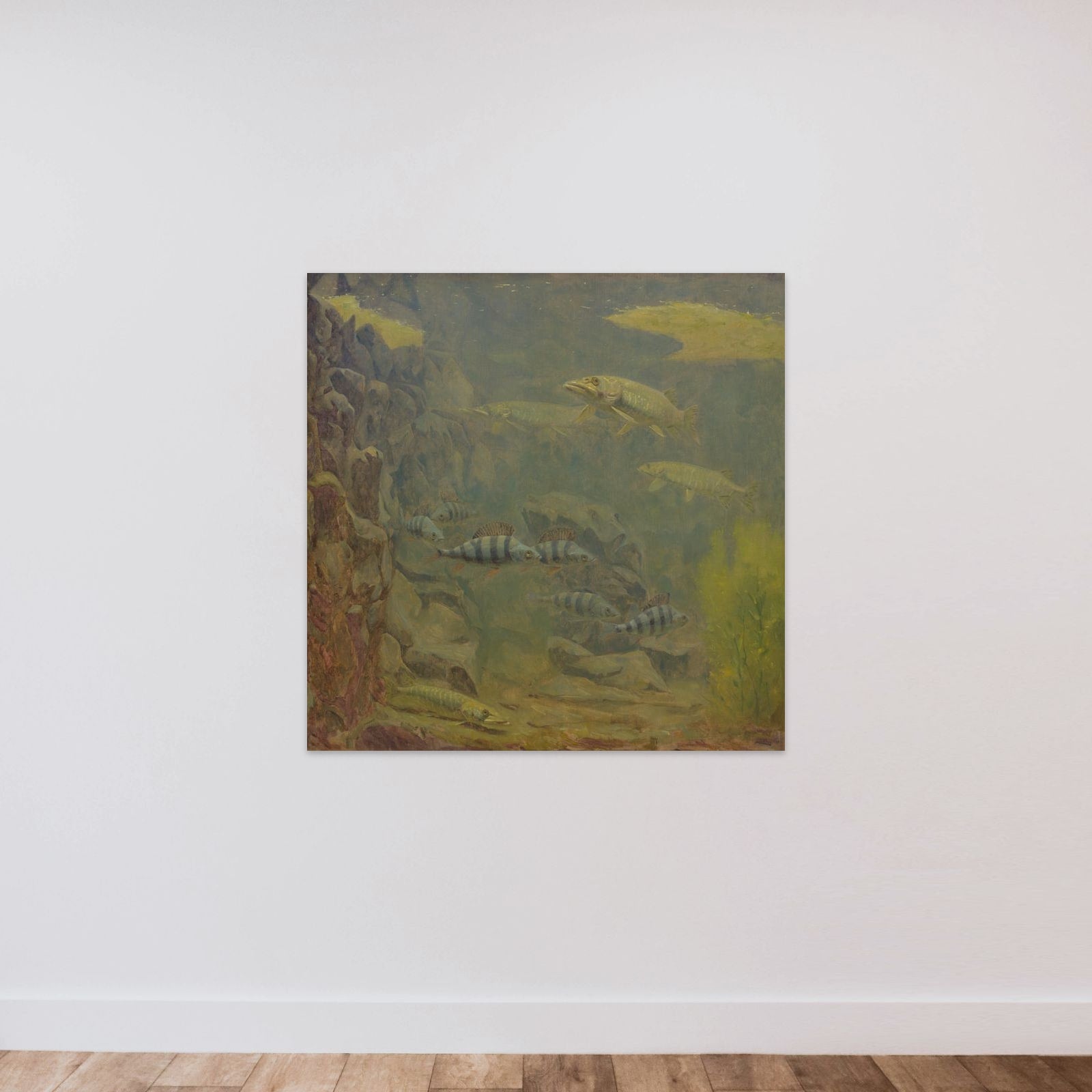Pike and Perch in an Aquaruim unframed — shown to scale