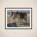 Two Donkeys framed