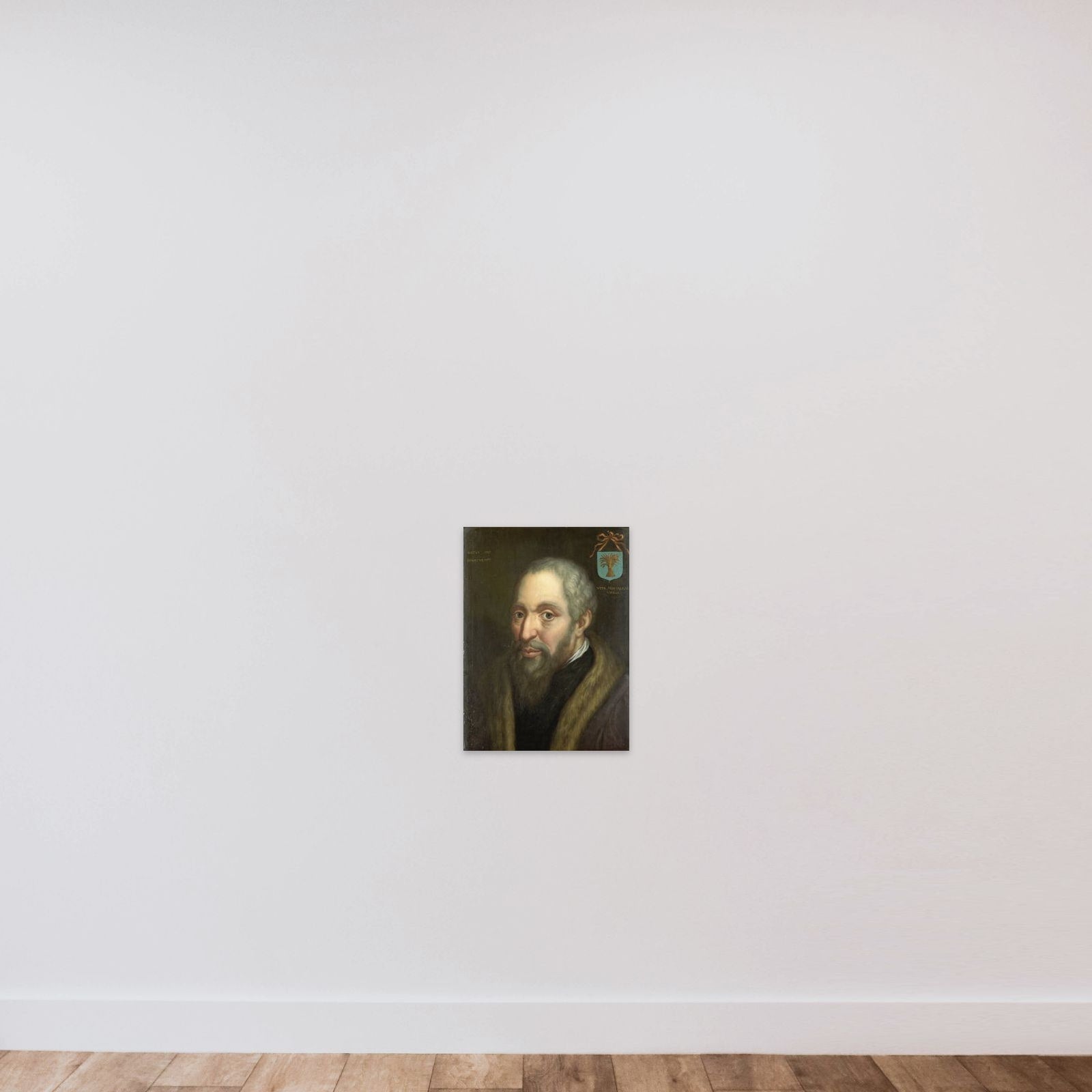 Portrait of Viglius ab Zuichemus, Frisian Jurist, President of the Privy Council and Member of the Council of State unframed — shown to scale