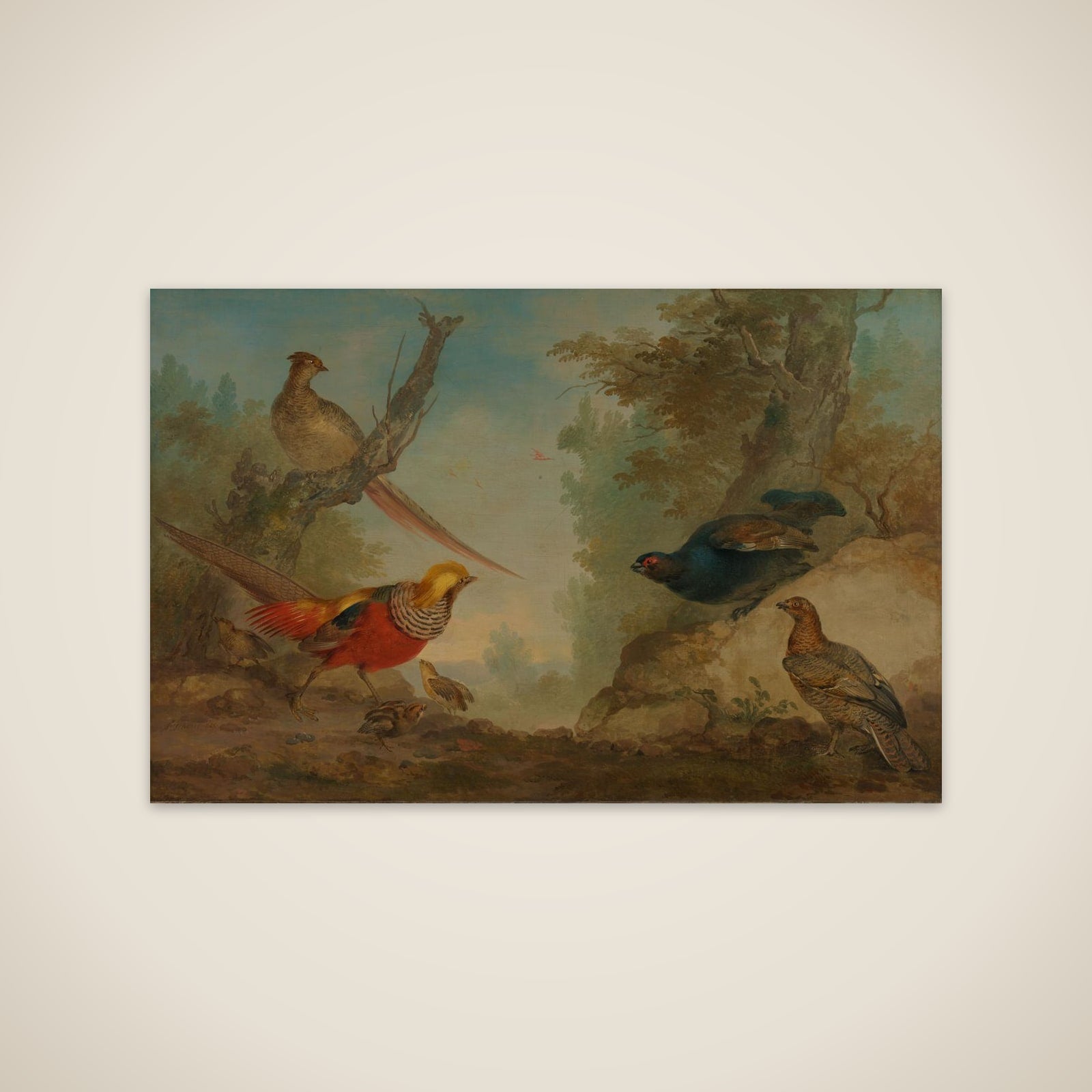 Pheasants unframed print