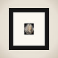 Christiaan V (1646-99), koning van Denemarken framed