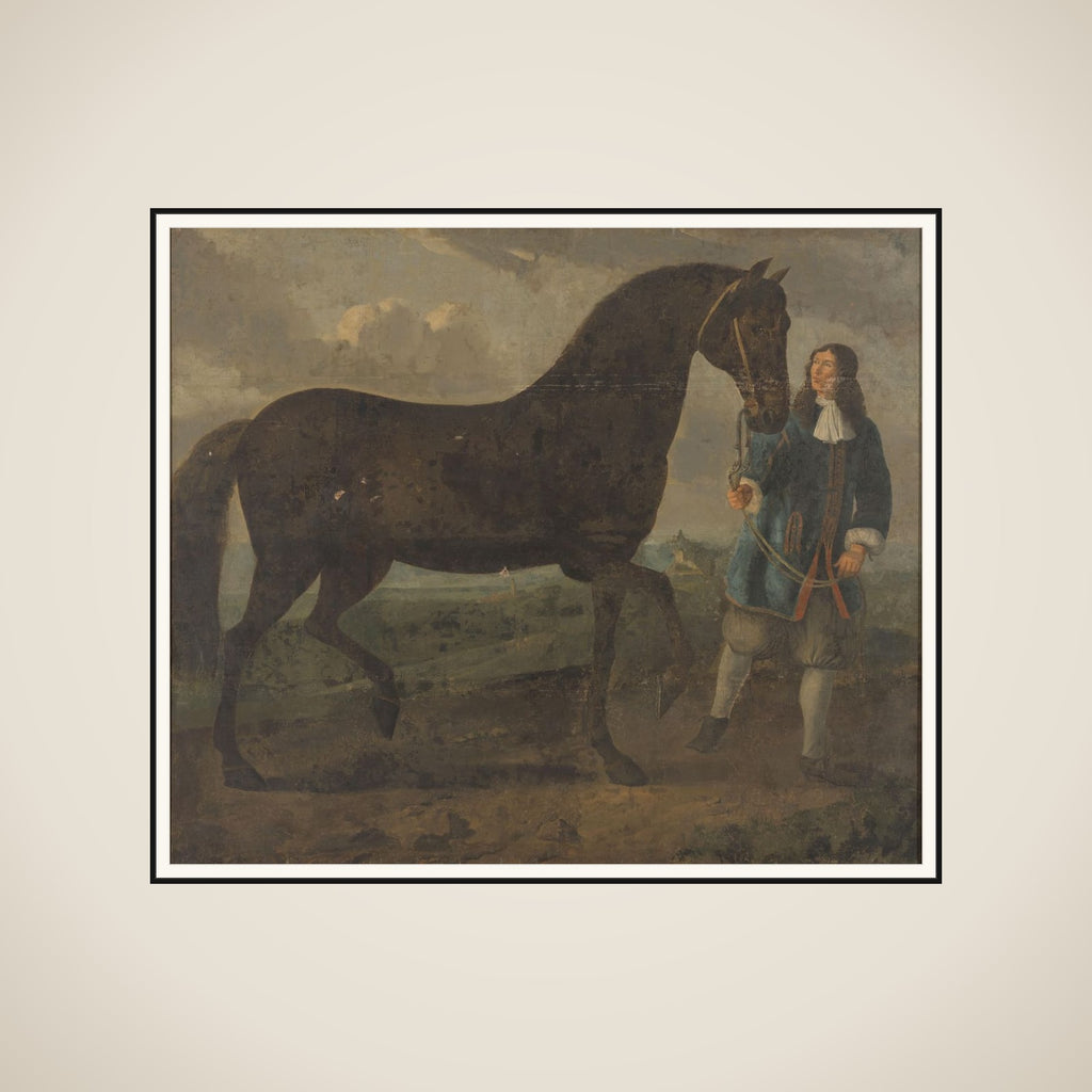 Zwart paard door een stalknecht geleid framed