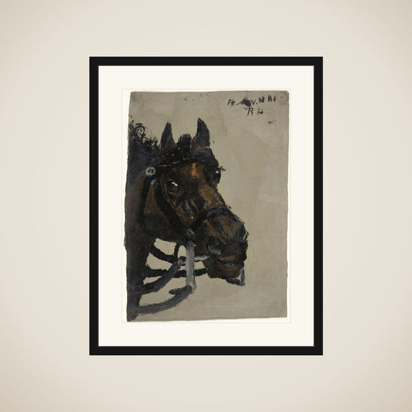 Paardekop framed