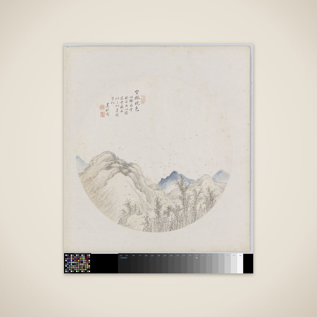 Albumblad unframed print