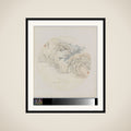 Albumblad framed