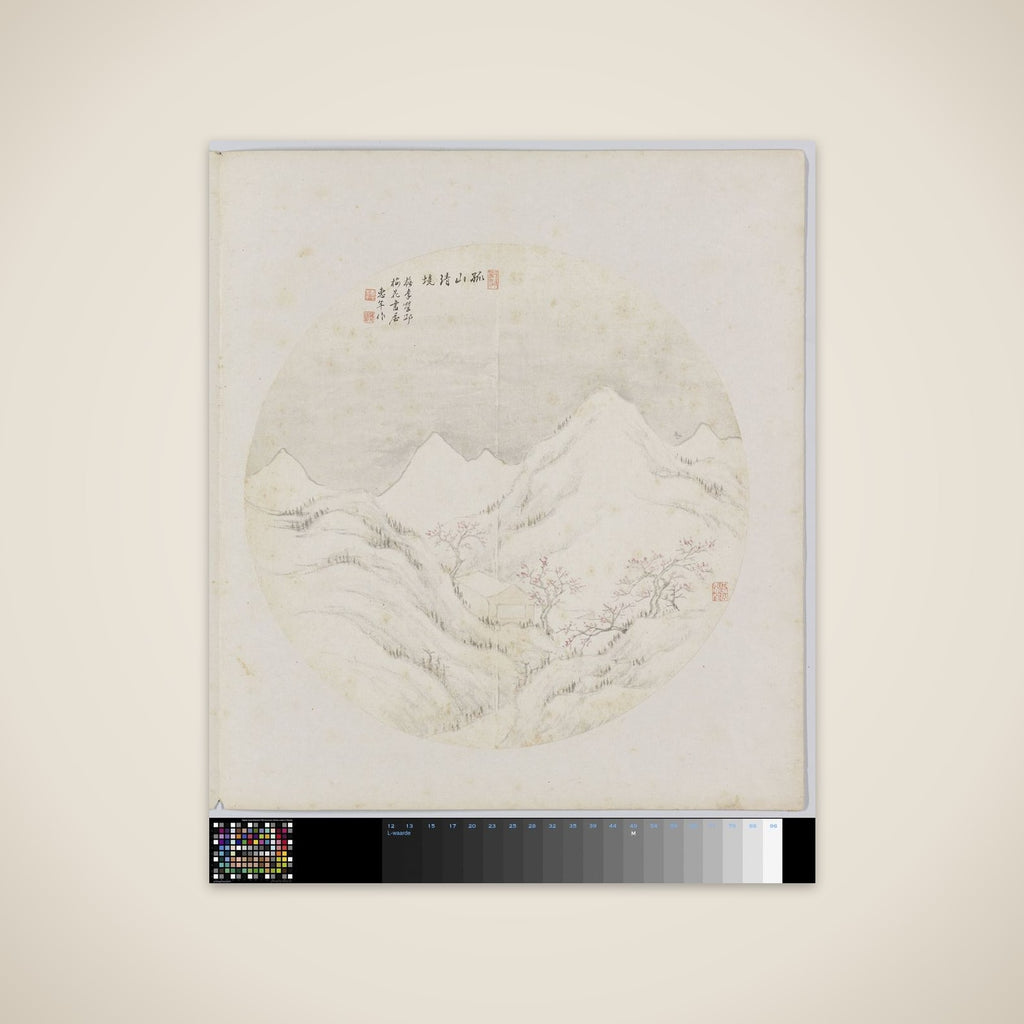 Albumblad unframed print