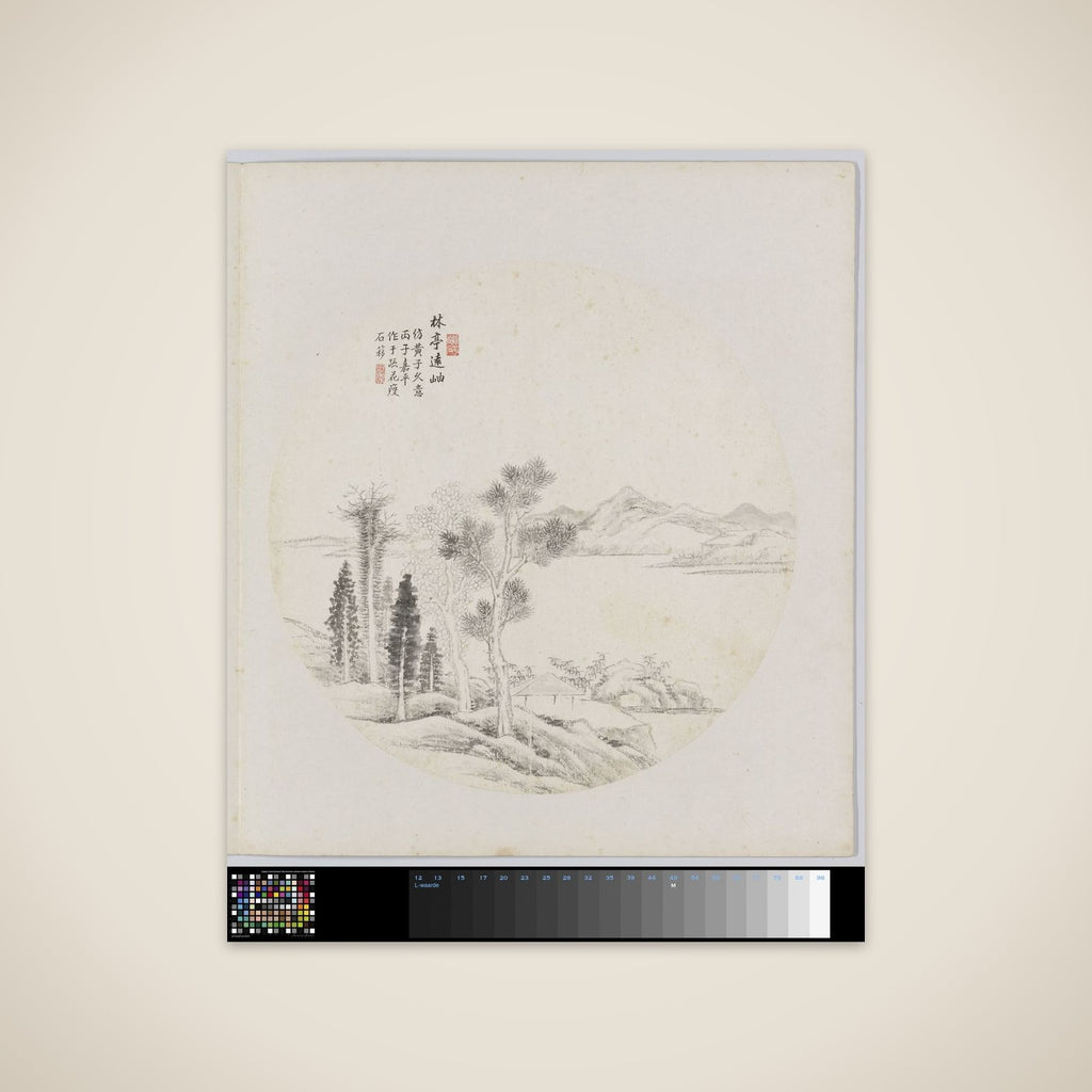 Albumblad unframed print
