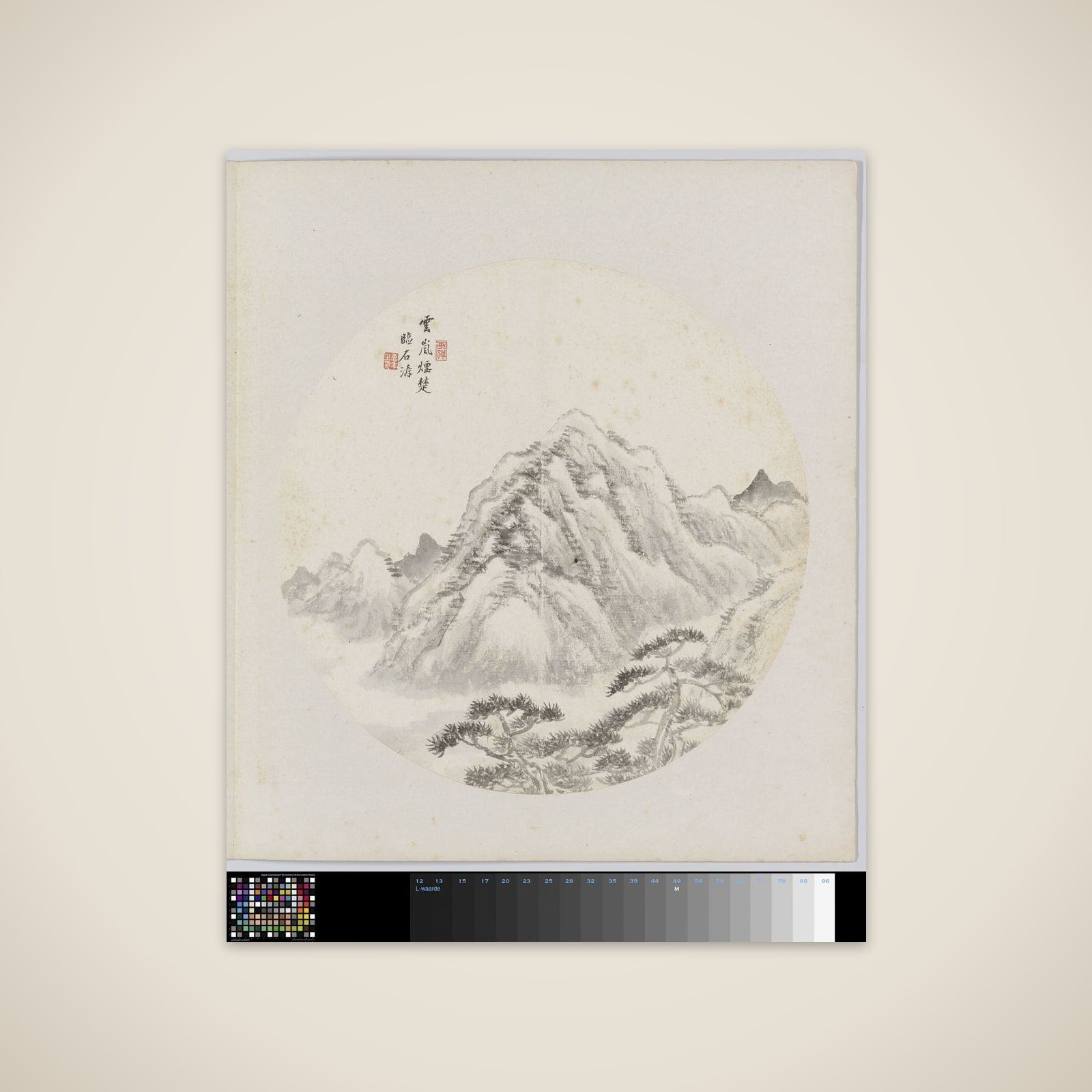 Albumblad unframed print