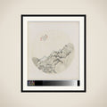 Albumblad framed