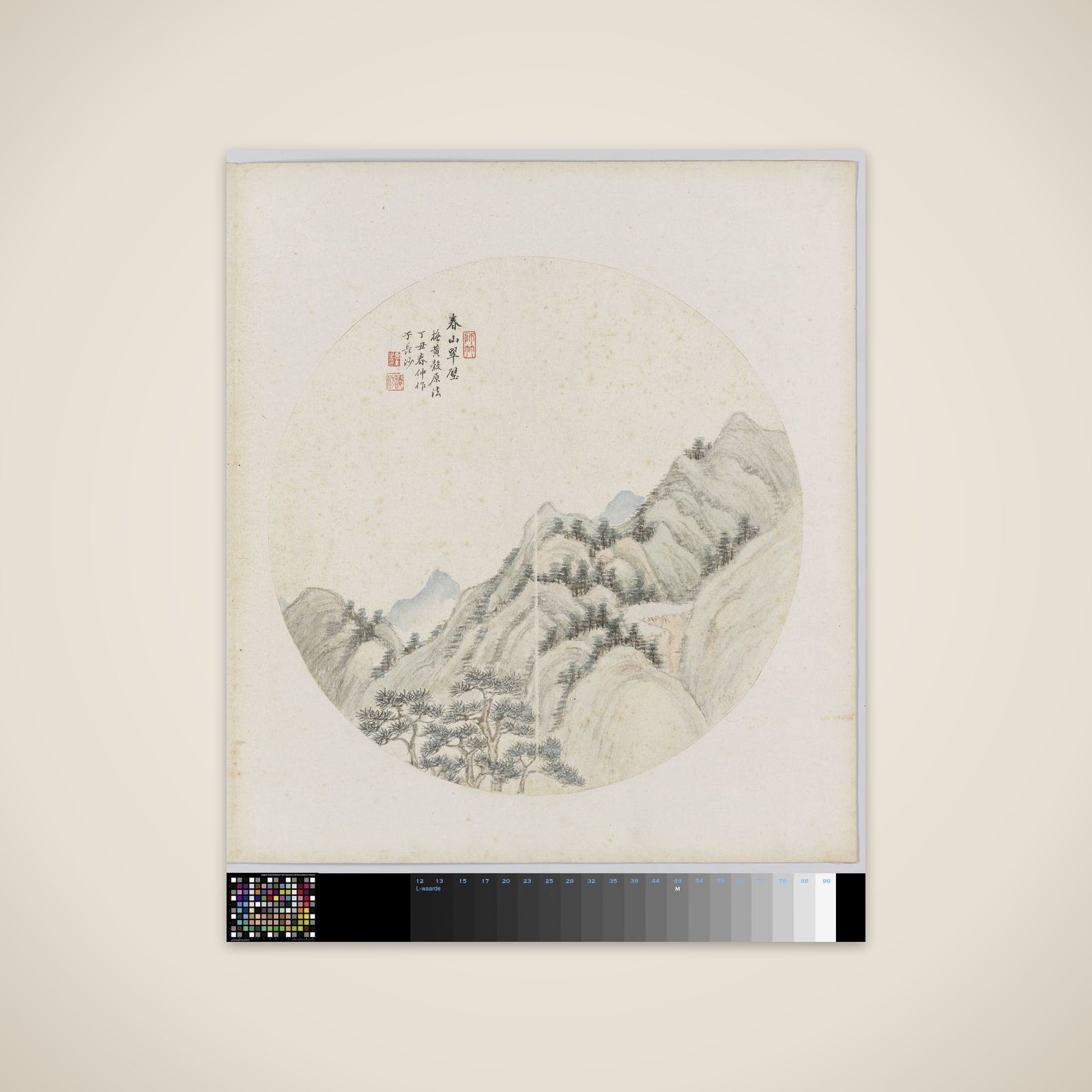 Albumblad unframed print