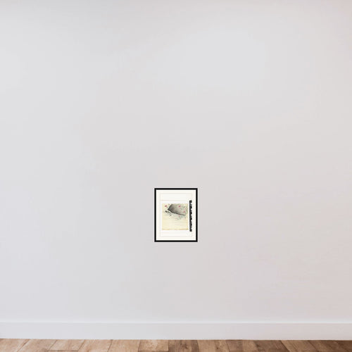 Bloemen aan waterkant framed — shown to scale