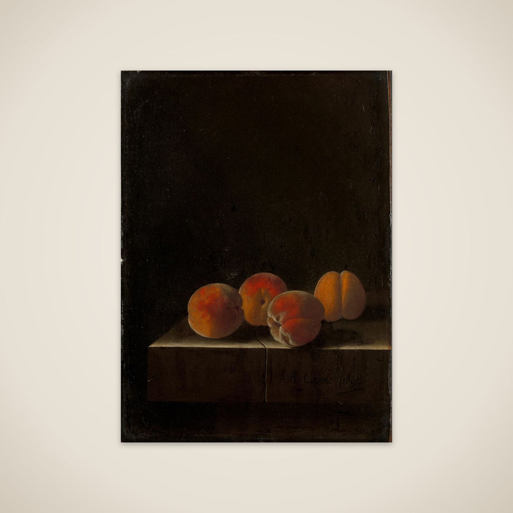 Four Apricots on a Stone Plinth unframed print