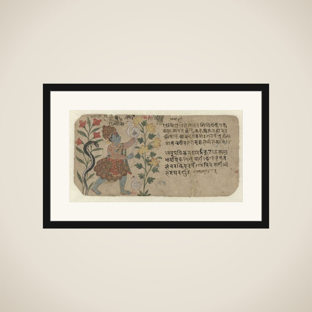 Bosbewoner met pauwenveren framed