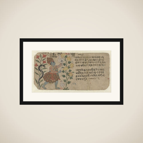 Bosbewoner met pauwenveren framed