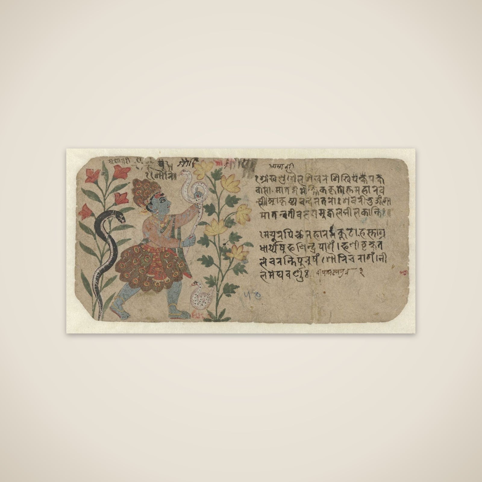 Bosbewoner met pauwenveren unframed print
