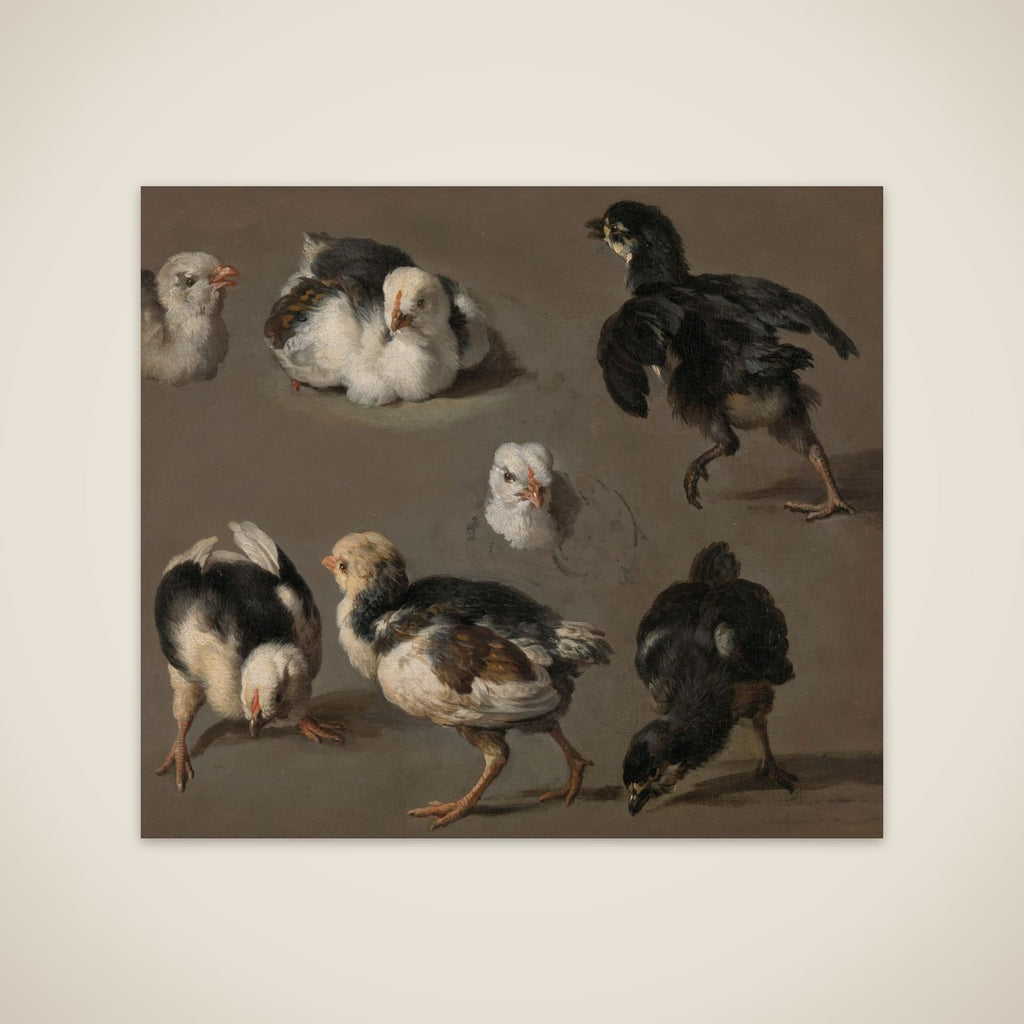 Seven Chicks unframed print