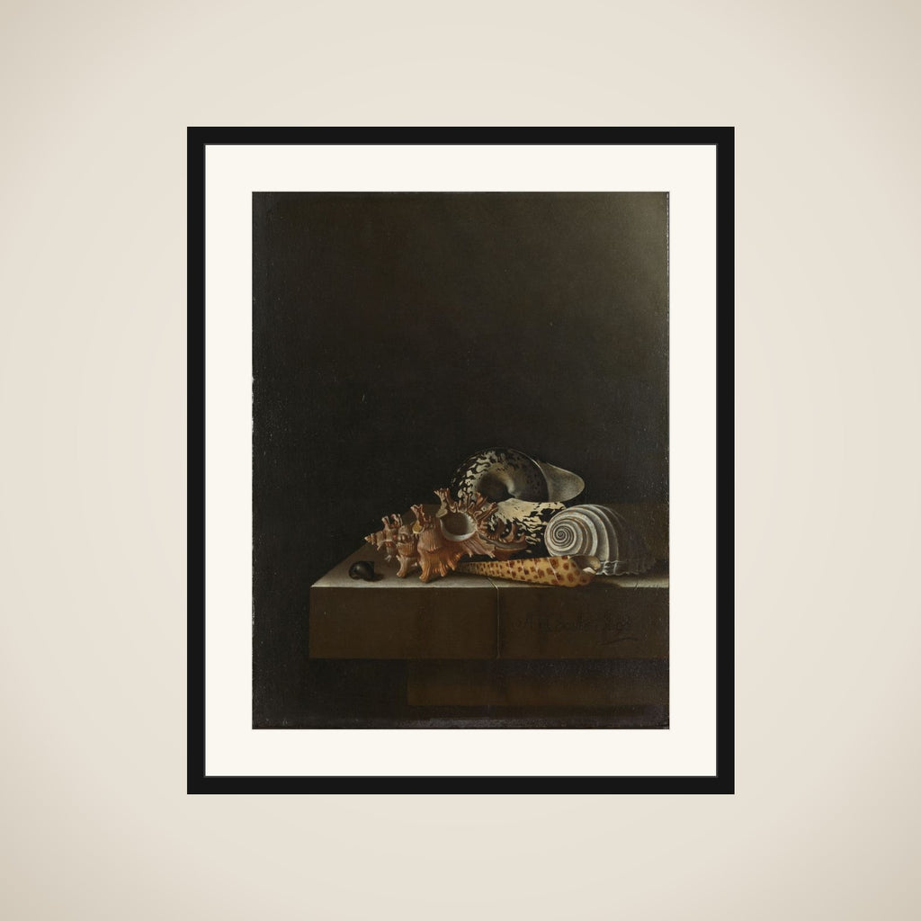 Shells on a Stone Plinth framed
