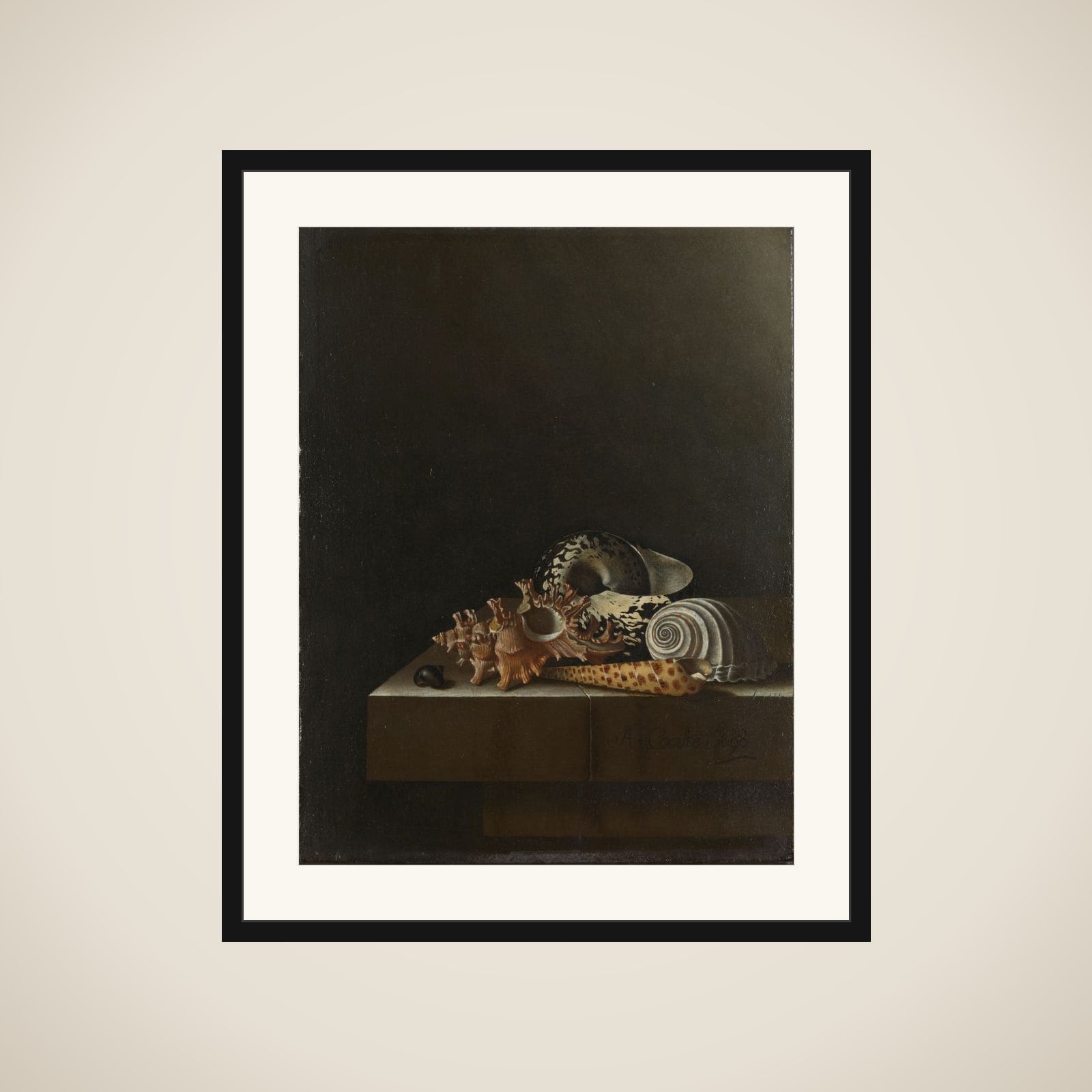 Shells on a Stone Plinth framed