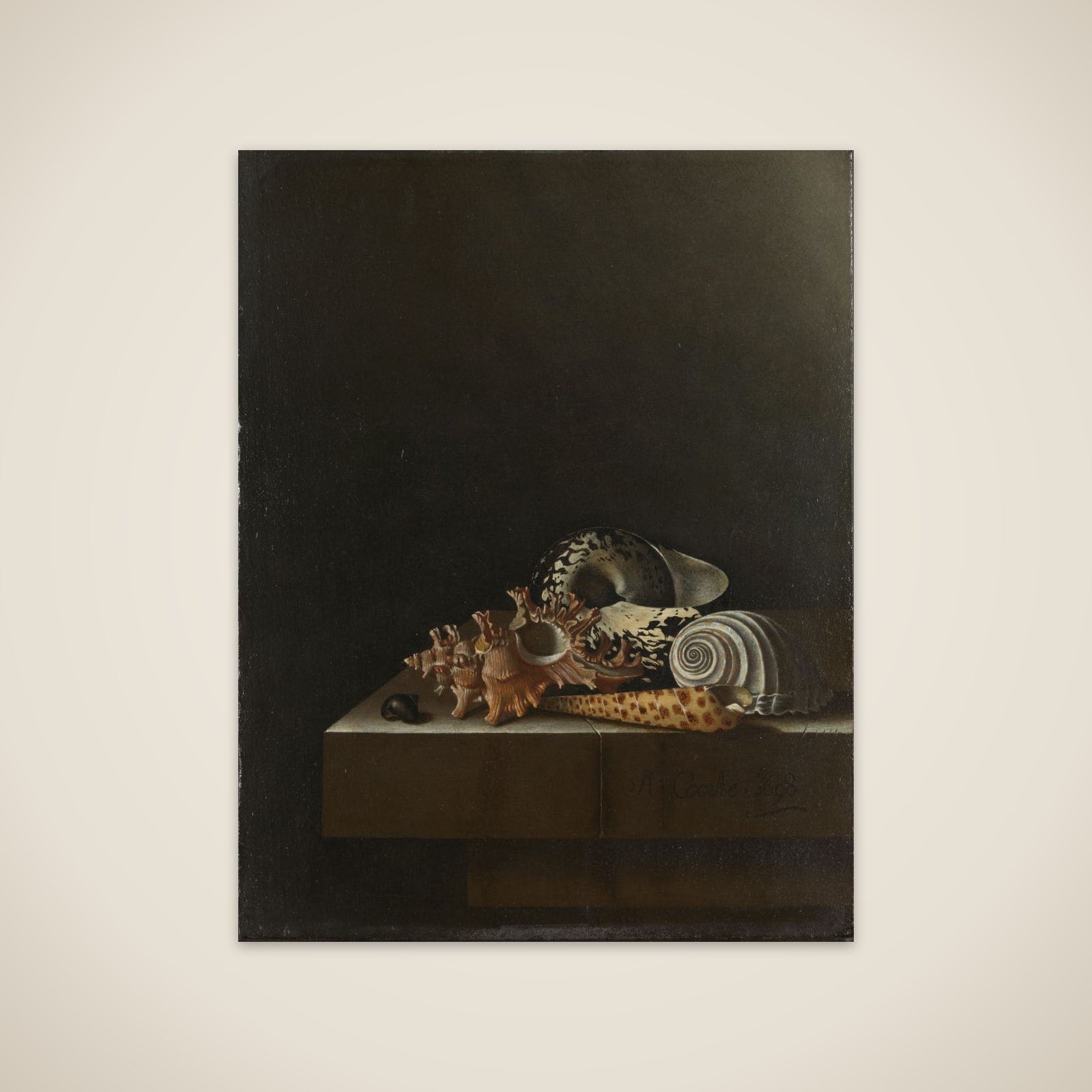 Shells on a Stone Plinth unframed print