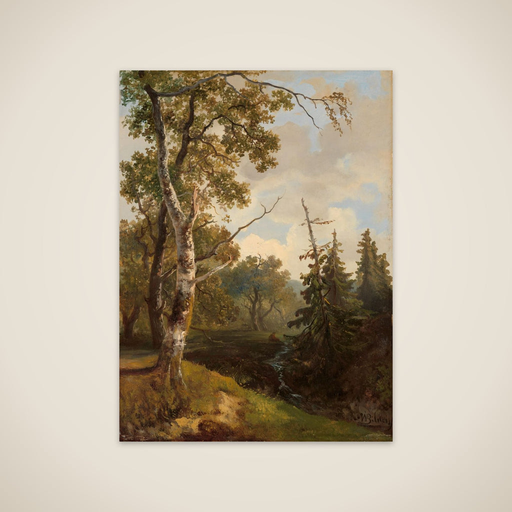 Bosgezicht bij Wolfheze. unframed print