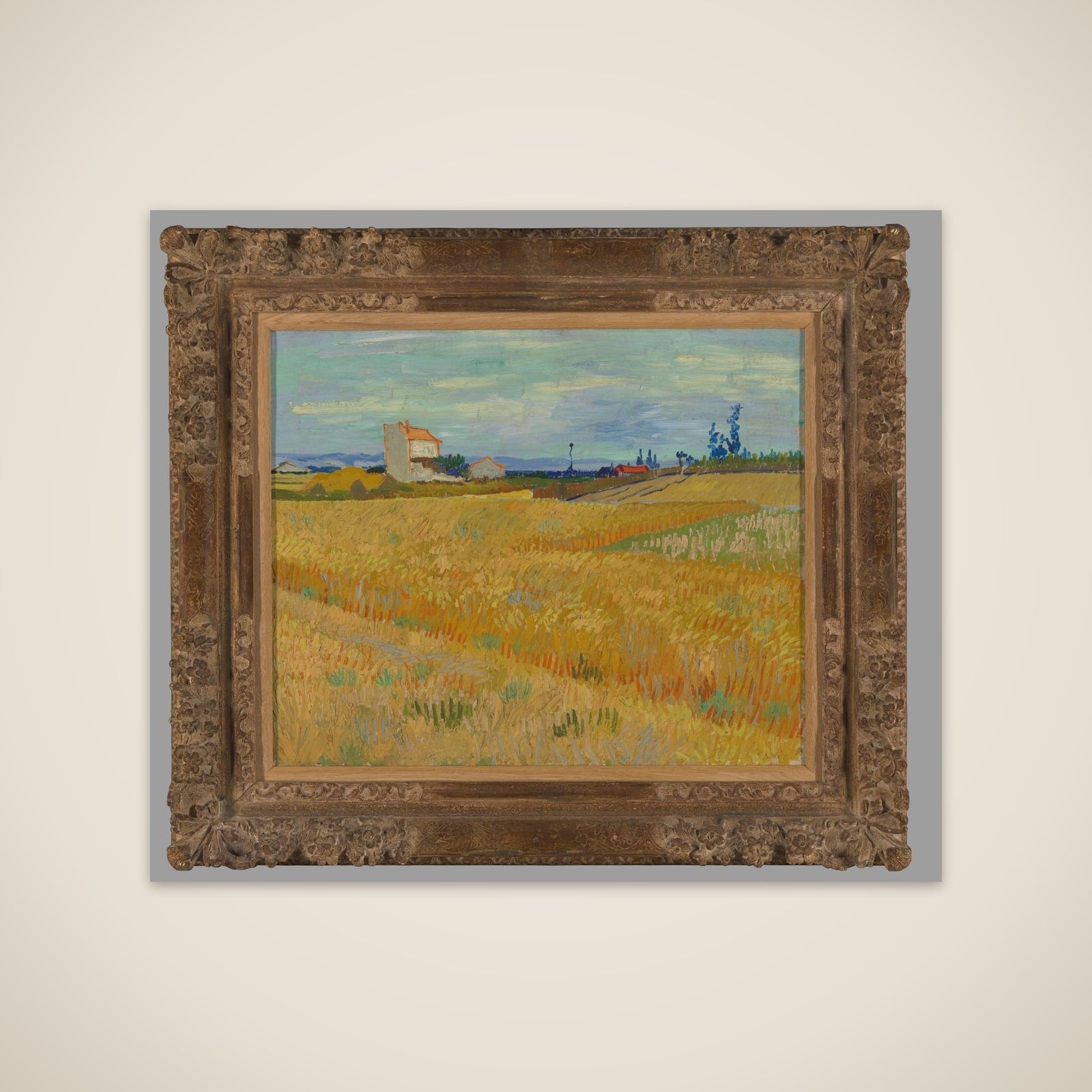 Wheatfield unframed print
