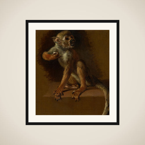 A Seated Monkey framed