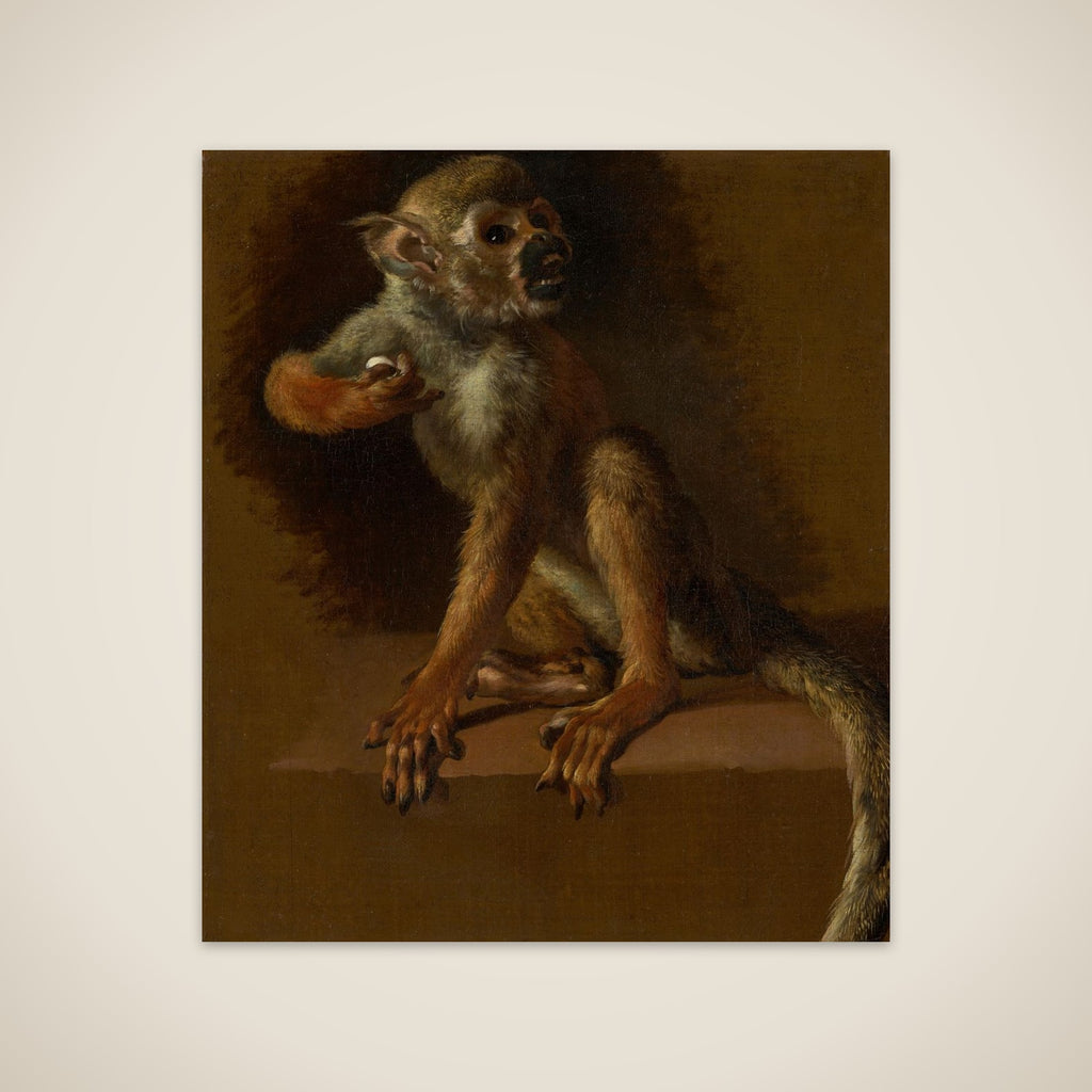 A Seated Monkey unframed print