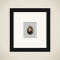 Portrait of Cornelis Ploos van Amstel framed