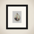 Ovalen portretminiatuur van Mattheus Sigismundis Schuster (1757-1826) framed