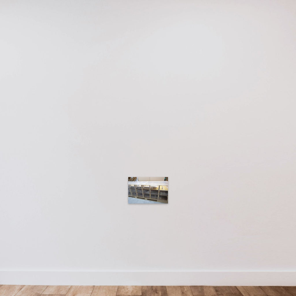 Plafonddelen afkomstig uit het stadhoudelijke kwartier unframed — shown to scale