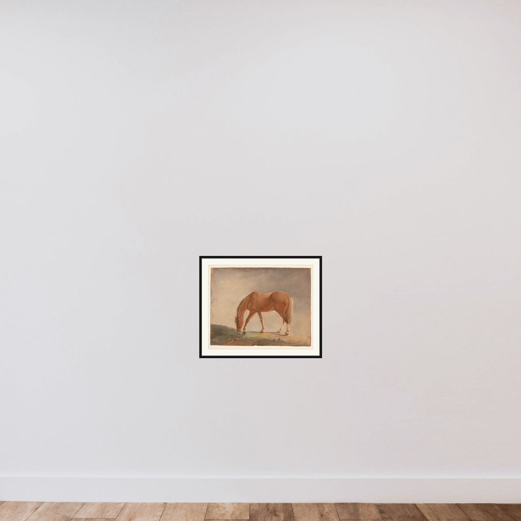 Stående brun hest framed — shown to scale