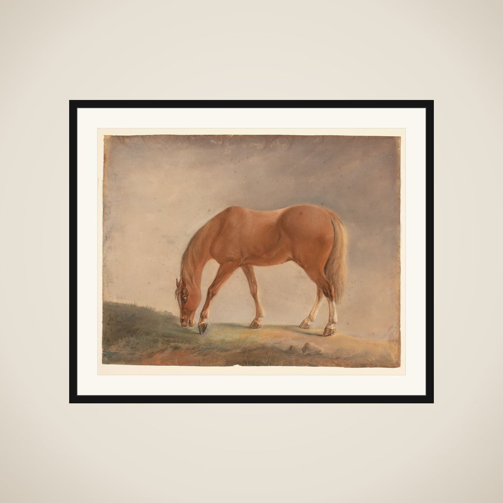 Stående brun hest framed
