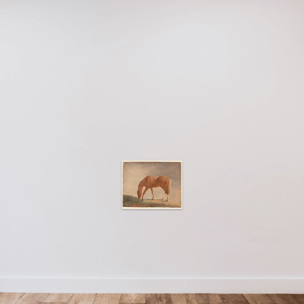 Stående brun hest unframed — shown to scale