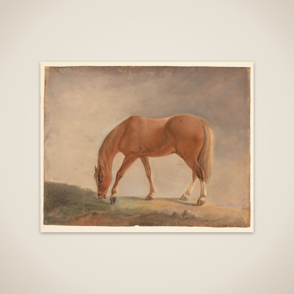 Stående brun hest unframed print