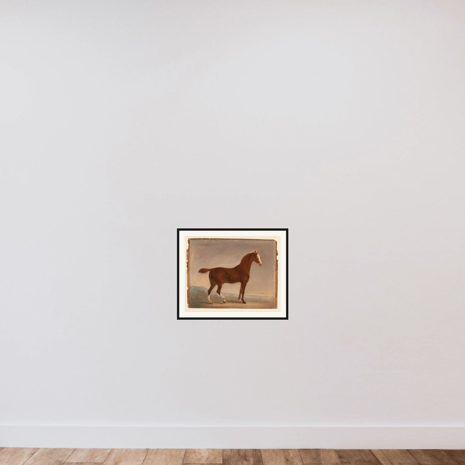 Stående brun hest framed — shown to scale