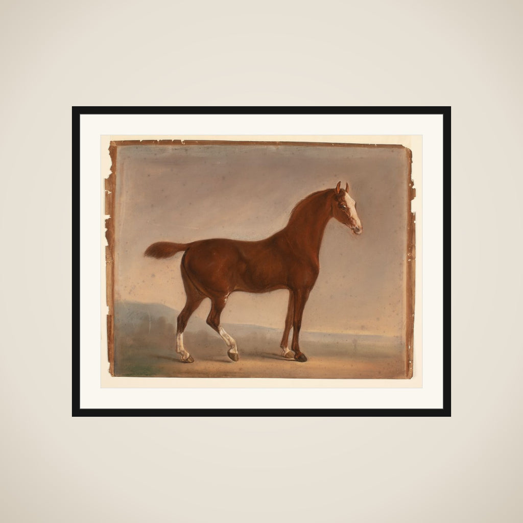 Stående brun hest framed