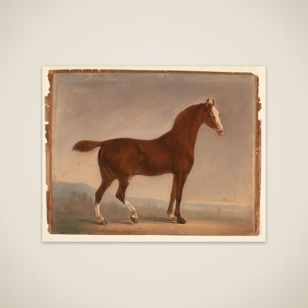 Stående brun hest unframed print