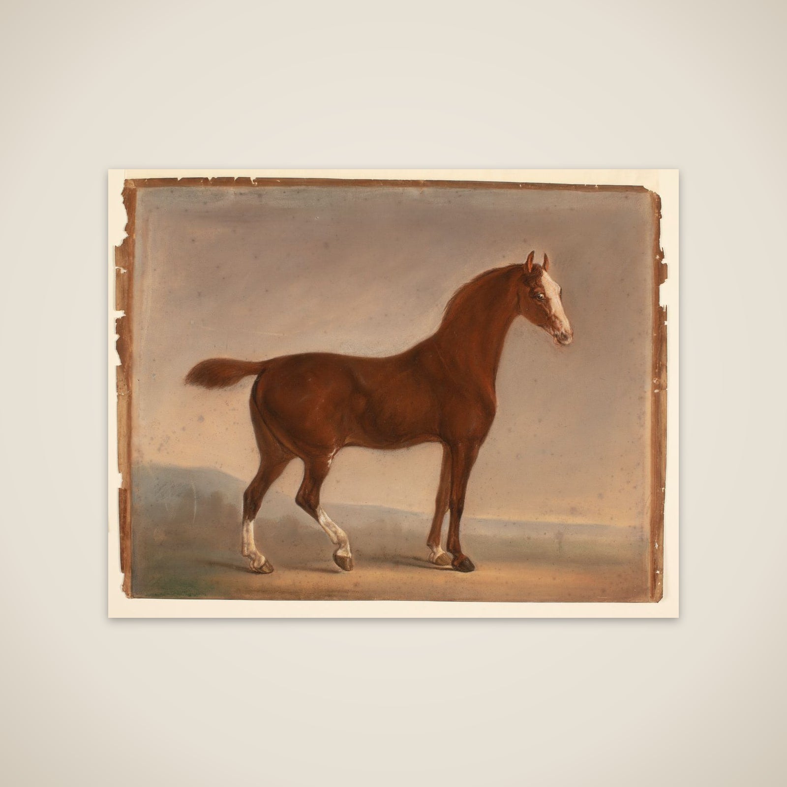 Stående brun hest unframed print