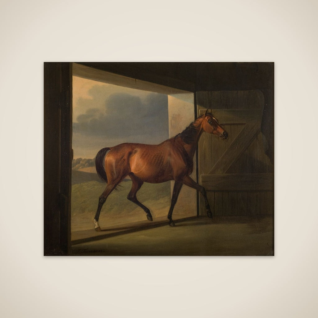 Jutta unframed print