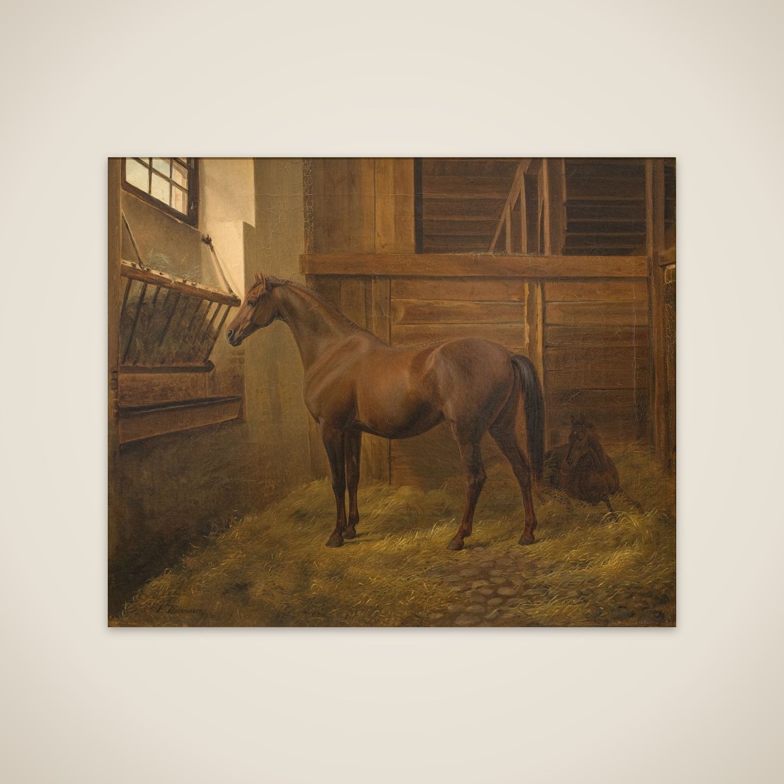 Sabina unframed print